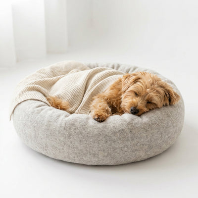 Dog Sleeping